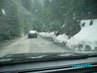 thumbs/pict1339.jpg