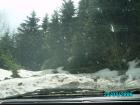 thumbs/pict1342.jpg