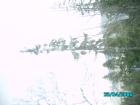 thumbs/pict1343.jpg