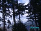 thumbs/pict1345.jpg