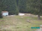 thumbs/pict1350.jpg