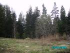 thumbs/pict1354.jpg