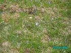 thumbs/pict1358.jpg