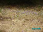thumbs/pict1363.jpg
