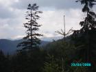 thumbs/pict1366.jpg