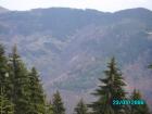 thumbs/pict1367.jpg