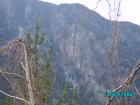 thumbs/pict1374.jpg