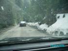 thumbs/pict1339.jpg