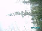 thumbs/pict1343.jpg