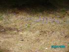 thumbs/pict1363.jpg