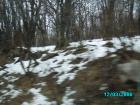 thumbs/pict0754.jpg