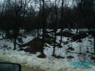 thumbs/pict0755.jpg