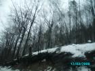 thumbs/pict0762.jpg