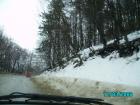 thumbs/pict0763.jpg