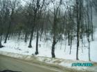 thumbs/pict0764.jpg