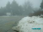 thumbs/pict0771.jpg