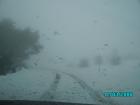 thumbs/pict0773.jpg
