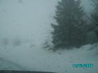 thumbs/pict0774.jpg