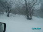 thumbs/pict0775.jpg