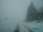 thumbs/pict0776.jpg