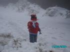 thumbs/pict0783.jpg