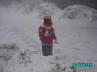 thumbs/pict0784.jpg