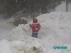 thumbs/pict0791.jpg
