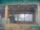 thumbs/pict0795.jpg