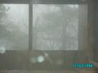thumbs/pict0798.jpg