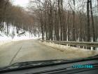 thumbs/pict0810.jpg