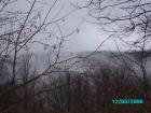 thumbs/pict0811.jpg