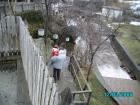 thumbs/pict0820.jpg