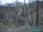 thumbs/pict0842.jpg