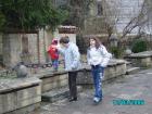 thumbs/pict0864.jpg