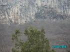thumbs/pict0866.jpg