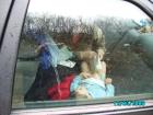 thumbs/pict0876.jpg