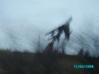 thumbs/pict0914.jpg