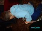thumbs/pict0722.jpg