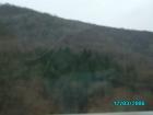 thumbs/pict0740.jpg