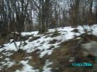 thumbs/pict0754.jpg