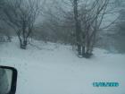 thumbs/pict0775.jpg
