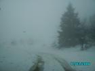 thumbs/pict0776.jpg