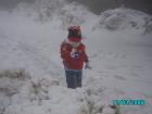 thumbs/pict0784.jpg