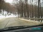 thumbs/pict0810.jpg