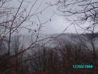 thumbs/pict0811.jpg
